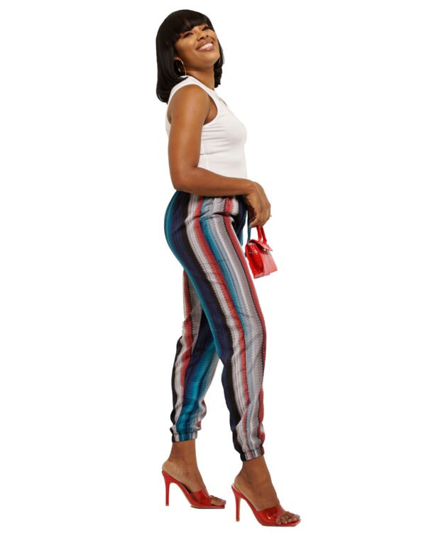 Multicolored "Joseph's coat"  Pants